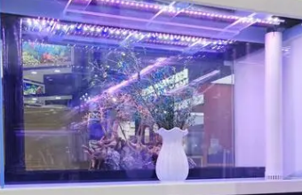 高端品牌宅男视频污网站的專業指南